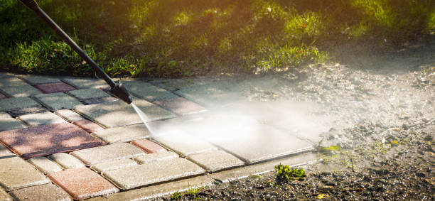 Best Solar Panel Cleaning  in Onalaska, WI